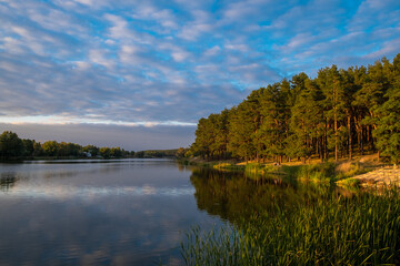 lake in the forest