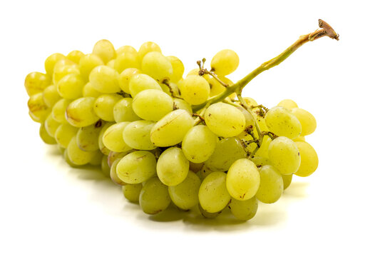 Organic stemmed grapes on a white background. Close-up of ripe green grapes