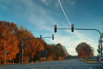 Autumnal view of a crossing with  traffic lights on a country road flanked with trees with glorious red foliage under a blue sky