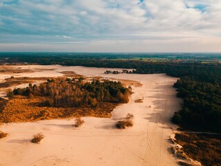 Aerial drone view of the Loonse en Drunense dune national park in the Netherlands, Europe. 