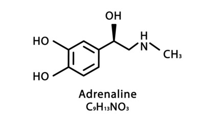 Adrenaline molecular structure. Epinephrine skeletal chemical formula. Chemical molecular formula vector illustration