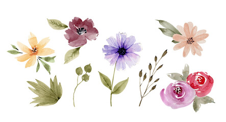 set of delicate watercolor multicolored flowers and plants hand-painted	

