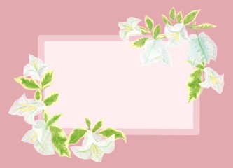pink  flowers frame