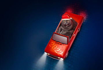 A funny New Year e-card with a cat driving a red convertible vintage sports car in the blue night...