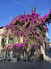 Sirmione, Italie