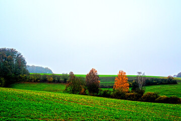 Herbst 2021 Doos und Veitsberg