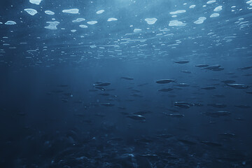 fish underwater shoal, abstract background nature sea ocean ecosystem