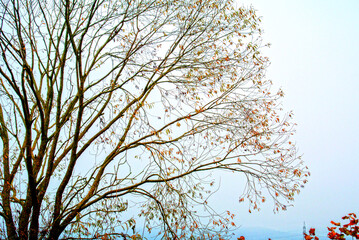 Herbst 2021 Doos und Veitsberg