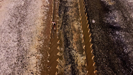 Aerial view of the salt lake Sasyk-Sivash during flowering. Evpatoria, Crimea