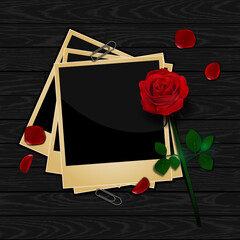 Vector vintage background with rose and photo frames. Old polaroids with memories. 