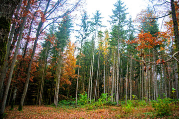 Herbst 2021 Doos und Veitsberg