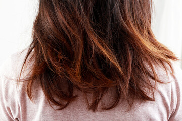 concept of health problems woman's hair health problems