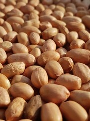 groundnuts / peanuts rich in fats and highly healthy and even allergic to many 