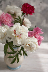 Still life with white and pink peonies in a white vase