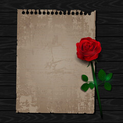 Vector old love letter with rose
