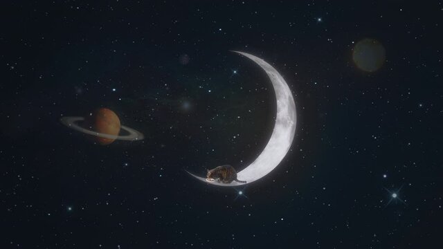 Cat Eating On Moon In Space With Planets. Kitty cat eating ration on the moon in space with planets. Zoom in