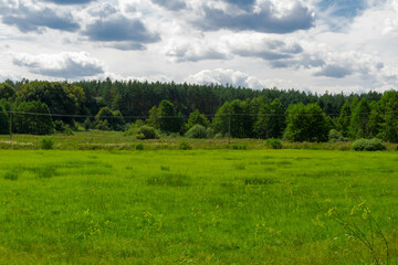 Fototapeta na wymiar landscape with trees and clouds