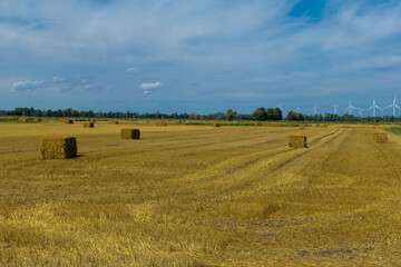 Fototapeta premium bales in the field