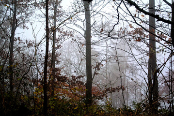 Herbst 2021 Doos und Veitsberg