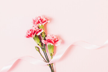Beautiful fresh flowers and silk ribbon on pink background