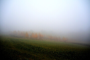 Herbst 2021 Doos und Veitsberg