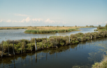 Parc naturel régional de Camargue, 13, Bouches du Rhone