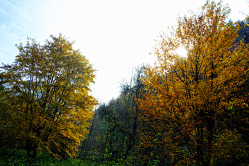 Fototapeta premium Herbst 2021 Doos und Veitsberg