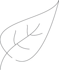 four seasons icon leaf and plant