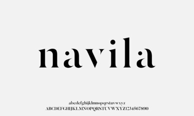 Elegant font set. Modern alphabet letters serif Lettering Typography Fonts uppercase and number. vector illustration