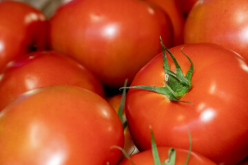 fresh organic red tomatoes on the vine