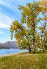 Beach of the Giona Park in Maccagno in the autumn season, Maccagno Inferiore, province of Varese, Italy