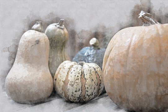 courges d'automne fa&ccedil;on aquarelle