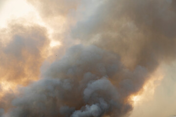 smoke pattern background of fire burn in grass fields
