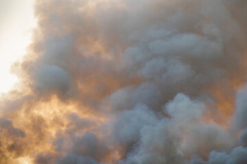 smoke pattern background of fire burn in grass fields