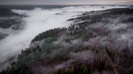 fog in the mountains