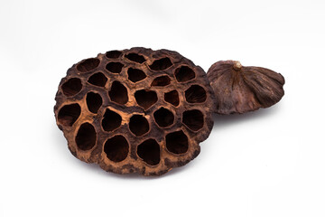 dried flower lotus box dry flower