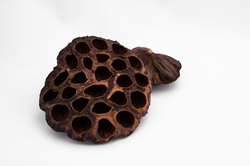 dried flower lotus box dry flower