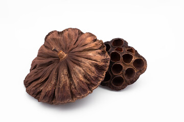 dried flower lotus box dry flower