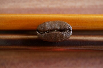 Cofee bean on colorful background