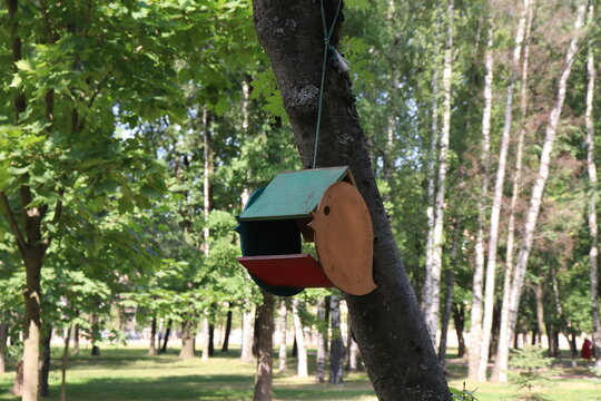 bird feeder