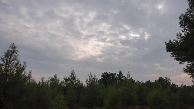 Stock video

Time Lapse Video of a Cloudy Sky  Surrounded by Trees