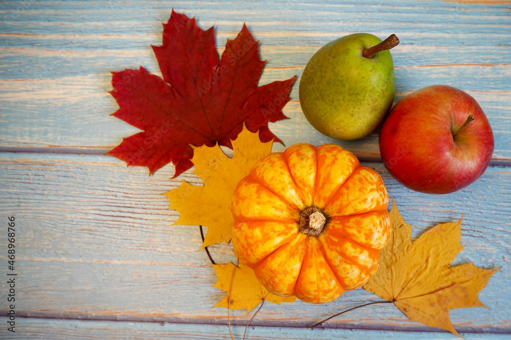 Wall mural a small yellow pumpkin, a red apple and a green pear on yellow and red maple leaves on a blue wooden background. top view