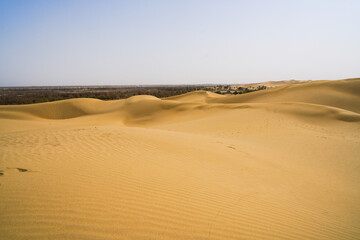 Desert oasis, dune grove center lake