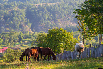 Autumn in Romania