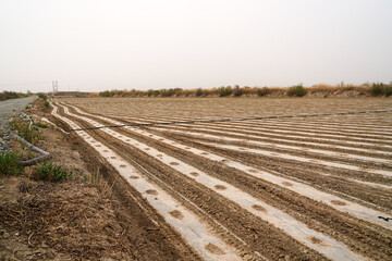 Line arrangement of ecological agricultural film