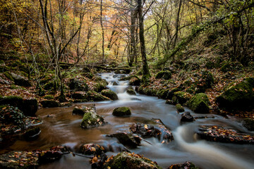 cascade de Brisecou à autun en Bourgogne en automne	