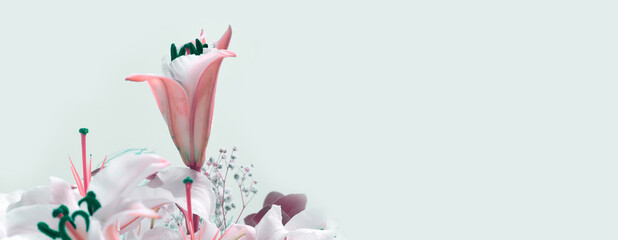 Flower bouquet background. Lily.