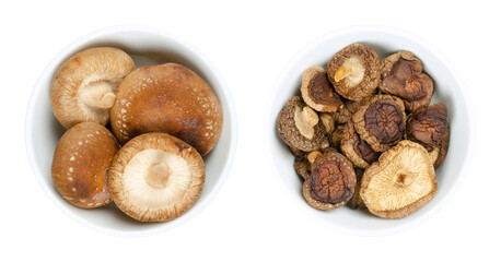 Fresh and dried shiitake mushrooms, in white bowls. Lentinula edodes, edible mushrooms, native to East Asia, also used in traditional medicine. Close-up, from above, isolated over white, food photo.