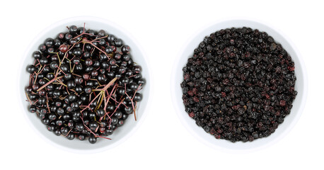 Fresh and dried elderberries in white bowls. Ripe fruit clusters and dried berries of Sambucus...