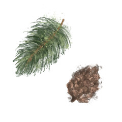 Watercolor pine cone and twig vector